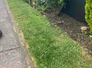 Weeding by Carlos Ledesma for Shannon B. in Salem, OR