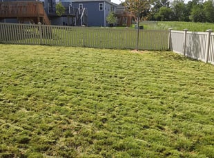 Cleanups by Kevin Rhyne for Christine W. in Verona, WI