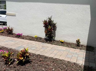 Weeding by Thomas Jenkins for Tianna A. in Zephyrhills, FL