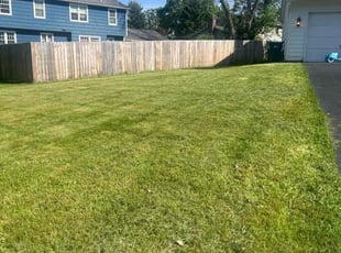 "Armenda D.'s Lawn Service service result