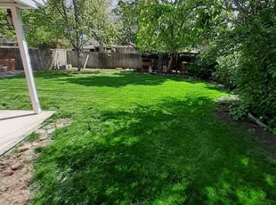 Chase T.'s Lawn Mowing service result