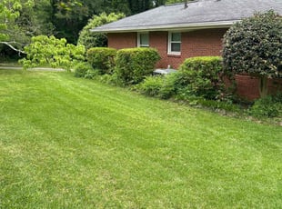 Bush Trimming by Chuck Vogt for Trent G. in Decatur, GA