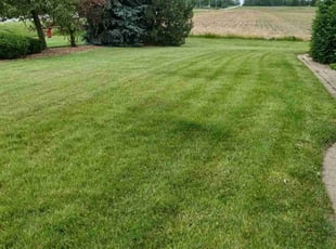 Paul M.'s Lawn Care service result