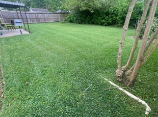 Paula C.'s Lawn Mowing service result