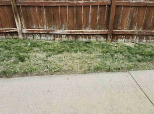 Weeding by Breanna Cooper for Garrett M. in Wichita, KS