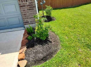 Weeding by Patrick Pickens for Arielle L. in Rosharon, TX