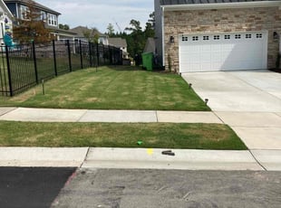 Aaron G.'s Lawn Mowing service result