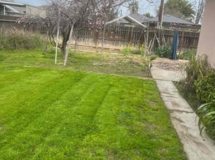Nicole G.'s Lawn Maintenance service result