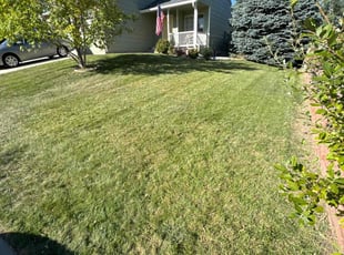 Marie L.'s Lawn Maintenance service result