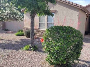 Bush Trimming by Raul Blanco for Samantha S. in Chandler, AZ
