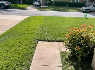 Margaret H.'s Yard Cutting service result