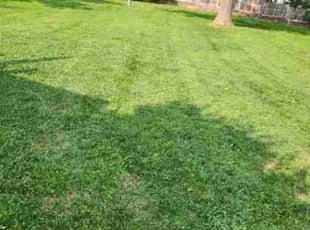 Karen M.'s Lawn Care service result
