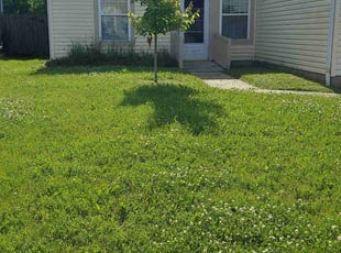 Cleanups by Alisha Lawson for Rashid M. in Galloway, OH