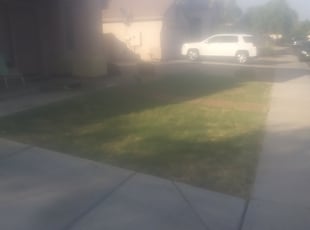 Cleanups by Andrew Hoodzow for Austin M. in Chandler, AZ