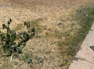 Cleanups by Gabriel Aldrete for Randy W. in Rocklin, CA