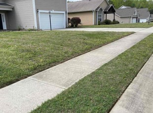 Daniel B.'s Lawn Maintenance service result