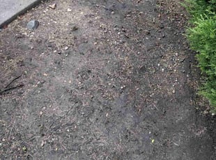 Weeding by Michael Martin for Brandon C. in Grove City, OH
