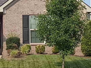 Weeding by Amie Simpson for Evan J. in Lexington, KY