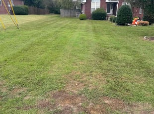 Justin S.'s Lawn Mowing Service service result