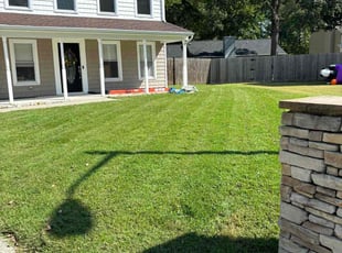 Vincent M.'s Lawn Mowing Service service result