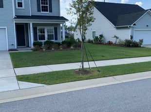 Trena M.'s Lawn Service service result