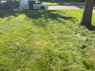 Cleanups by Jones Addo for Lance R. in Brooklyn Center, MN