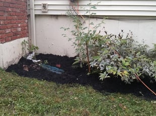 Landscaping by Brian Most for Michelle F. in Olathe, KS