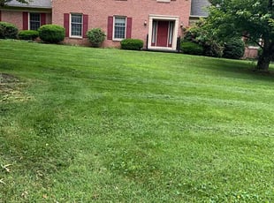 Carol D.'s Lawn Care service result