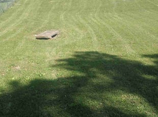Carol T.'s Lawn Care service result