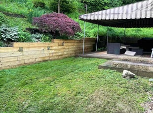 Dustin F.'s Lawn Mowing Service service result