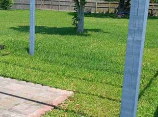 Leaf Removal by Felix Botello for Ikenna E. in Houston, TX