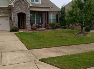 Stephen S.'s Grass Cutting service result