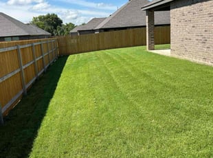 Tamisha C.'s Lawn Service service result