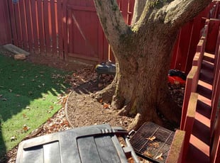 Leaf Removal by Manny Chavez for Ahmed k. in Woodbridge, VA