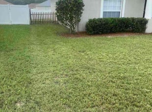 Bush Trimming by Johnny Richardson for Milisha B. in Winter Haven, FL