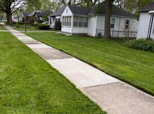 Patricia B.'s Grass Cutting service result
