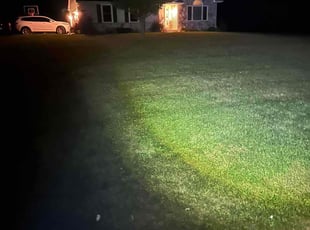 Lily E.'s Lawn Mowing service result