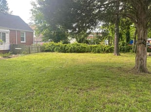 Cleanups by James Mozelle for Shane K. in Norfolk, VA