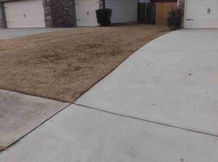 Leaf Removal by Phillip Cummings for Elizabeth S. in Dacula, GA