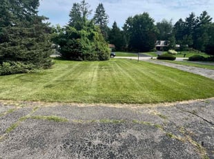 Fatima B.'s Lawn Mowing Service service result