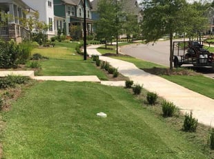 James A.'s Lawn Mowing service result