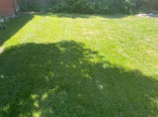 Christopher R.'s Lawn Service service result