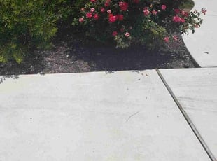 Weeding by Juliana Ledezma for Kendrick M. in Hutto, TX