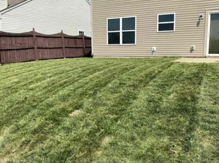 Cedric D.'s Lawn Service service result