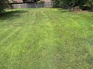 Karen W.'s Lawn Service service result