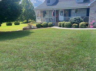 Michael C.'s Lawn Mowing service result