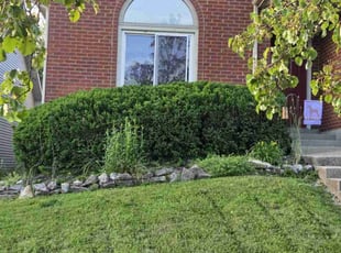 Laura M.'s Bush Trimming service result