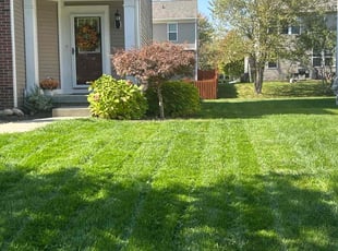Marsha L.'s Yard Cutting service result