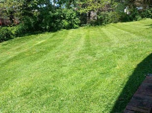 Ronald C.'s Lawn Mowing service result