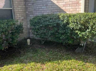 Bush Trimming by Christopher Delacerda for Sabrina M. in San Antonio, TX
